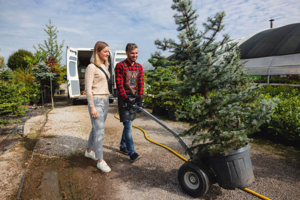 Best Aeration Services  in Cohoes, NY